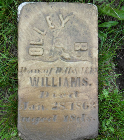 WILLIAMS, OLLEY R. - Warren County, Iowa | OLLEY R. WILLIAMS 