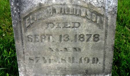 WILLIAMSON, ELIJAH - Warren County, Iowa | ELIJAH WILLIAMSON 