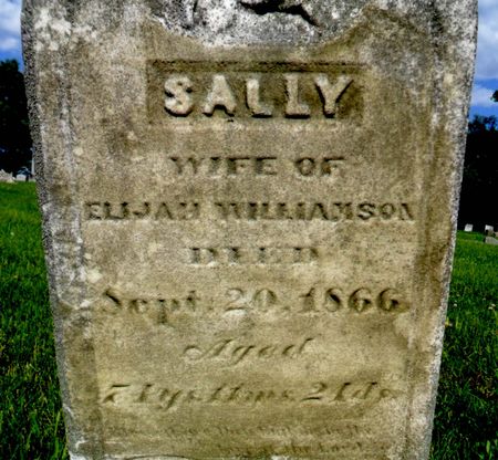 WILLIAMSON, SALLY - Warren County, Iowa | SALLY WILLIAMSON 