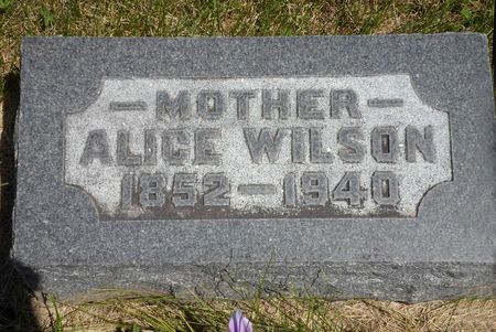 WILSON, ALICE - Warren County, Iowa | ALICE WILSON 