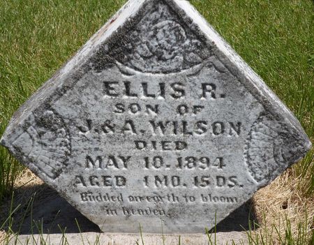WILSON, ELLIS R. - Warren County, Iowa | ELLIS R. WILSON 