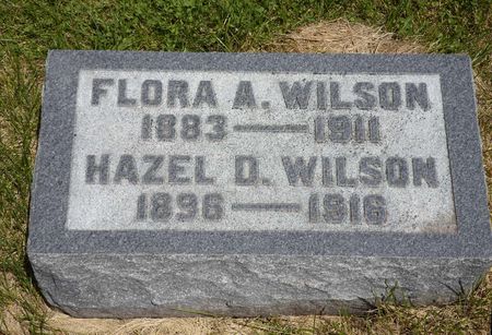 WILSON, HAZEL D. - Warren County, Iowa | HAZEL D. WILSON 