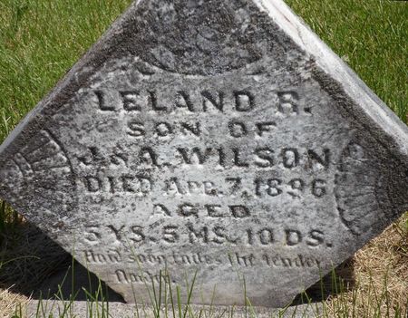 WILSON, LELAND R. - Warren County, Iowa | LELAND R. WILSON 