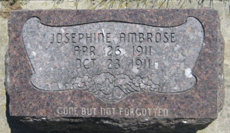 AMBROSE, JOSEPHINE - Washington County, Iowa | JOSEPHINE AMBROSE 