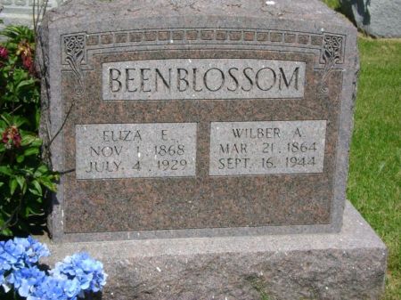 BEENBLOSSOM, ELIZA ELLEN - Washington County, Iowa | ELIZA ELLEN BEENBLOSSOM 
