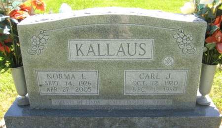 KALLAUS, CARL J. - Washington County, Iowa | CARL J. KALLAUS 
