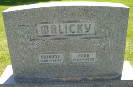 MALICKY, ANTHONY - Washington County, Iowa | ANTHONY MALICKY 