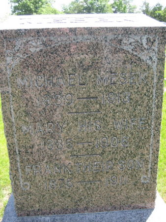 MESEK, MICHAEL - Washington County, Iowa | MICHAEL MESEK 