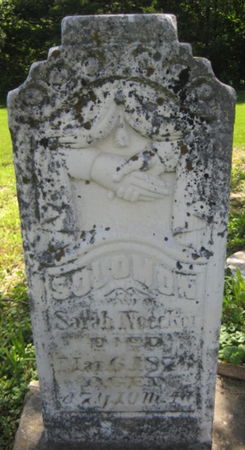 NOECKER, SOLOMON - Washington County, Iowa | SOLOMON NOECKER 