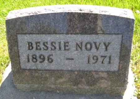 NOVY, BESSIE - Washington County, Iowa | BESSIE NOVY 