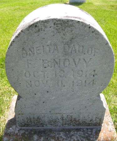 NOVY, ONEITA - Washington County, Iowa | ONEITA NOVY 