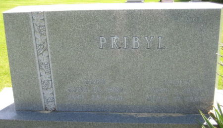 PRIBYL, JOSEPH - Washington County, Iowa | JOSEPH PRIBYL 