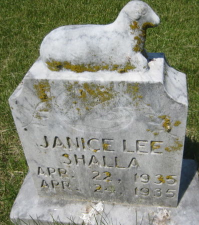 SHALLA, JANICE LEE - Washington County, Iowa | JANICE LEE SHALLA 