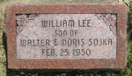 SOJKA, WILLIAM LEE - Washington County, Iowa | WILLIAM LEE SOJKA 