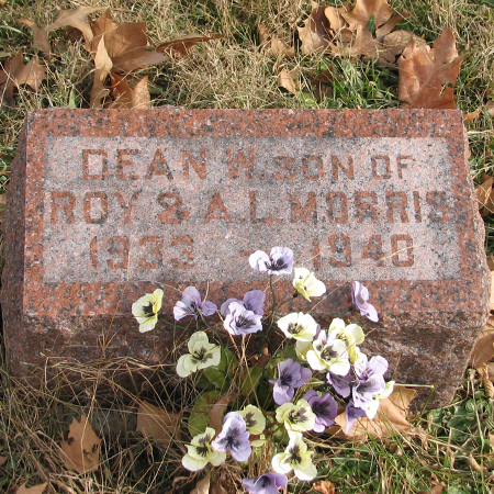 MORRIS, DEAN W - Wayne County, Iowa | DEAN W MORRIS 