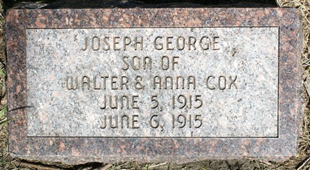 COX, JOSEPH GEORGE - Winnebago County, Iowa | JOSEPH GEORGE COX 