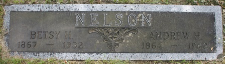 NELSON, ANDREW H. - Winnebago County, Iowa | ANDREW H. NELSON 