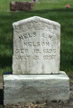 NELSON, NELS A. H. - Winnebago County, Iowa | NELS A. H. NELSON 