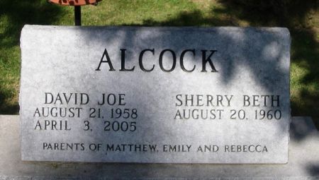 ALCOCK, DAVID JOE - Winneshiek County, Iowa | DAVID JOE ALCOCK 