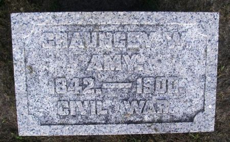 AMY, CHAUNCEY W. - Winneshiek County, Iowa | CHAUNCEY W. AMY 