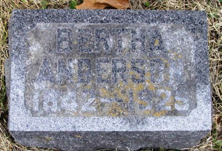 ANDERSON, BERTHA - Winneshiek County, Iowa | BERTHA ANDERSON 