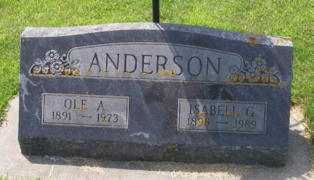 USGAARD ANDERSON, GJERTINA - Winneshiek County, Iowa | GJERTINA USGAARD ANDERSON 