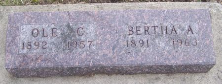 ANDERSON, BERTHA A. - Winneshiek County, Iowa | BERTHA A. ANDERSON 