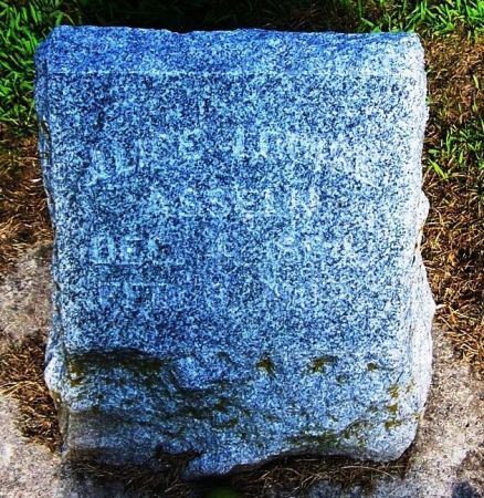 ASSELN, ALICE LOUISE - Winneshiek County, Iowa | ALICE LOUISE ASSELN 