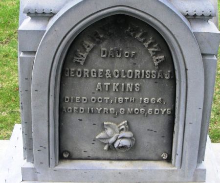 ATKINS, MARY ELIZA - Winneshiek County, Iowa | MARY ELIZA ATKINS 