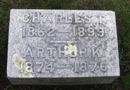 BAILEY, ARTHUR K. - Winneshiek County, Iowa | ARTHUR K. BAILEY 