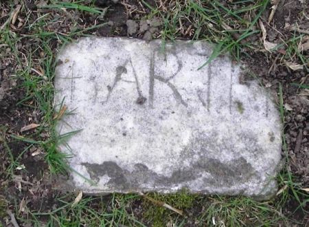 BART?, ???? - Winneshiek County, Iowa | ???? BART? 