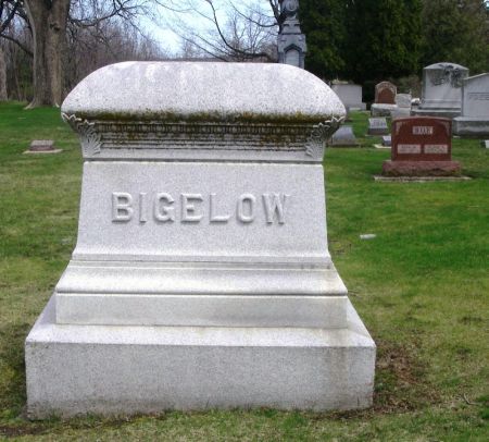 BIGELOW, HENRY A. FAMILY STONE - Winneshiek County, Iowa | HENRY A. FAMILY STONE BIGELOW 