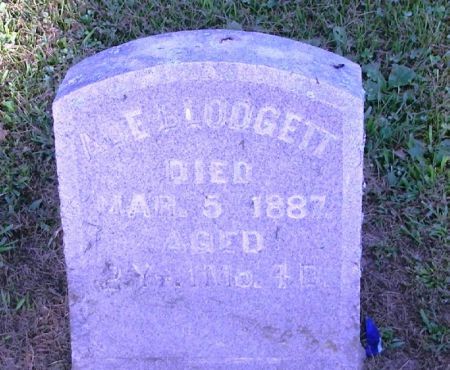 BLODGETT, AL E. - Winneshiek County, Iowa | AL E. BLODGETT 