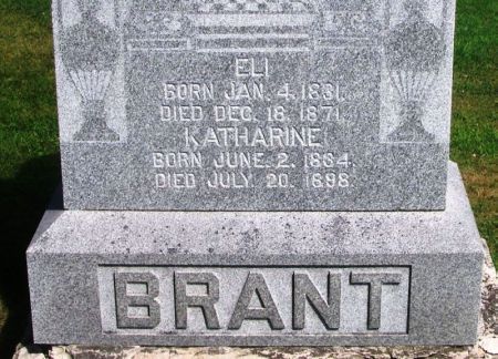 BRANT, ELI - Winneshiek County, Iowa | ELI BRANT 