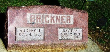 BRICKNER, DAVID A. - Winneshiek County, Iowa | DAVID A. BRICKNER 