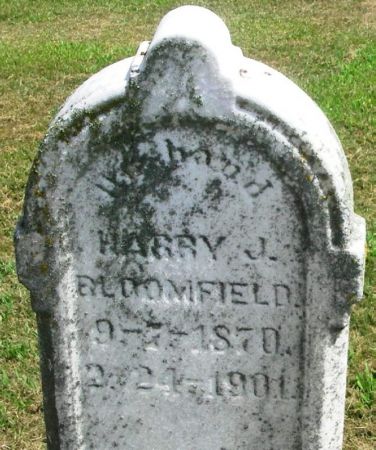 BLOOMFIELD, HARRY J. - Winneshiek County, Iowa | HARRY J. BLOOMFIELD 