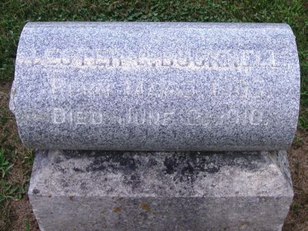 BUCKNELL, LESTER C. - Winneshiek County, Iowa | LESTER C. BUCKNELL 