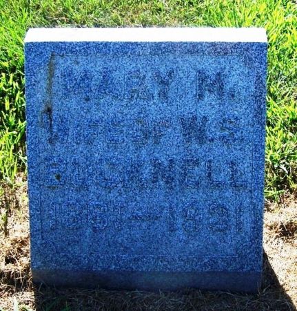 BUCKNELL, MARY M. - Winneshiek County, Iowa | MARY M. BUCKNELL 