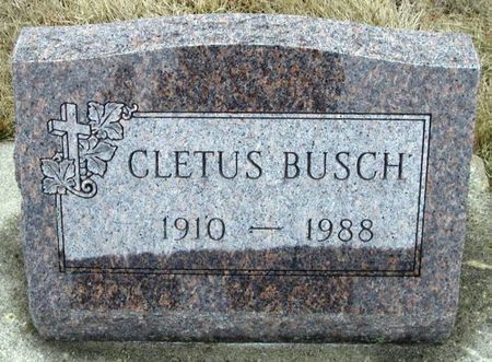 BUSCH, CLETUS - Winneshiek County, Iowa | CLETUS BUSCH 