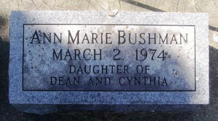 BUSHMAN, ANN MARIE - Winneshiek County, Iowa | ANN MARIE BUSHMAN 