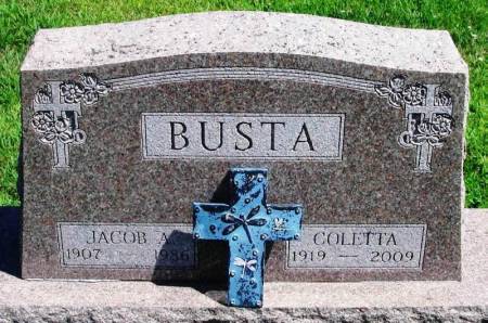 BUSTA, COLETTA - Winneshiek County, Iowa | COLETTA BUSTA 