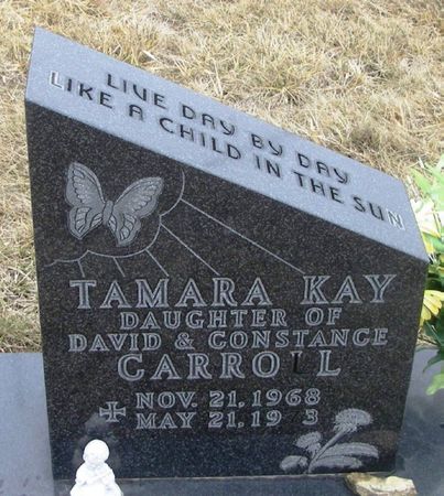 CARROLL, TAMARA KAY - Winneshiek County, Iowa | TAMARA KAY CARROLL 