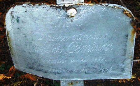 CIMBURA, VOJTECH - Winneshiek County, Iowa | VOJTECH CIMBURA 