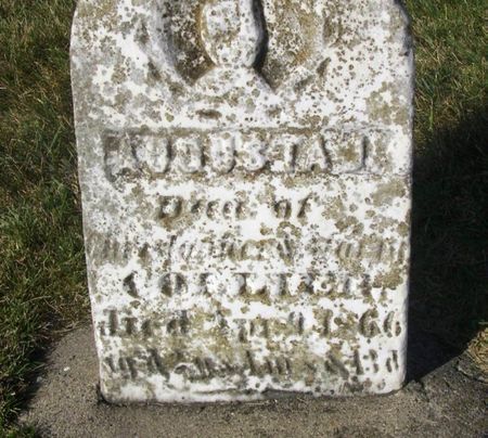 COLLIER, AUGUSTA J. - Winneshiek County, Iowa | AUGUSTA J. COLLIER 