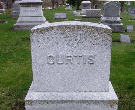 CURTIS, N. P. LARGE STONE - Winneshiek County, Iowa | N. P. LARGE STONE CURTIS 