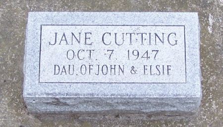 CUTTING, JANE - Winneshiek County, Iowa | JANE CUTTING 