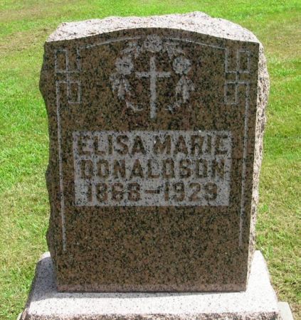 DONALDSON, ELISA MARIE - Winneshiek County, Iowa | ELISA MARIE DONALDSON 