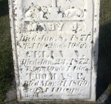 DONLAN, THOMAS E. - Winneshiek County, Iowa | THOMAS E. DONLAN 