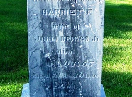 DRIGGS, HARRIET F. - Winneshiek County, Iowa | HARRIET F. DRIGGS 