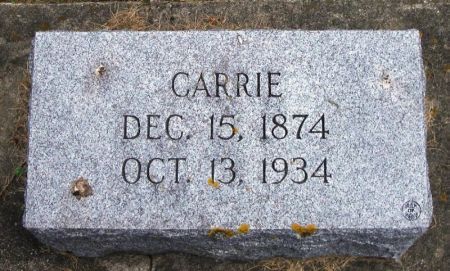 ELLEFSON, CARRIE - Winneshiek County, Iowa | CARRIE ELLEFSON 